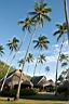 HoneyMoon 174.jpg
